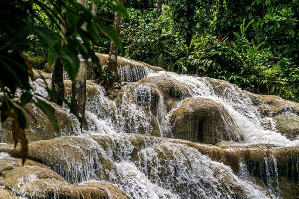 A waterfall cascading over moss-covered rocks in a lush, green forest setting. - Entire Home in Discovery Bay, St. Ann (Discovery Bay)