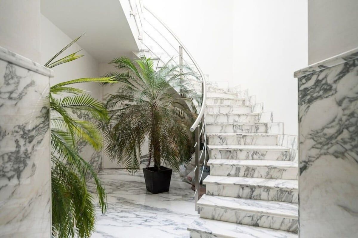 A marble staircase with a palm tree in a black pot.
