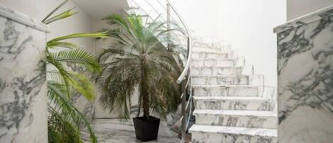 A marble staircase with a palm tree in a black pot.