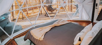 Apple Blossom Geodesic Dome at Starlight Haven Resort