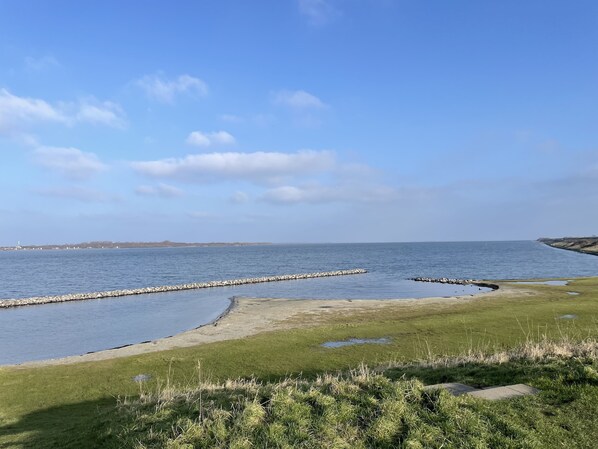 Sun-loungers - Luxe Freistehendes Familie Ferien-haus mit Sauna (Scharendijke)
