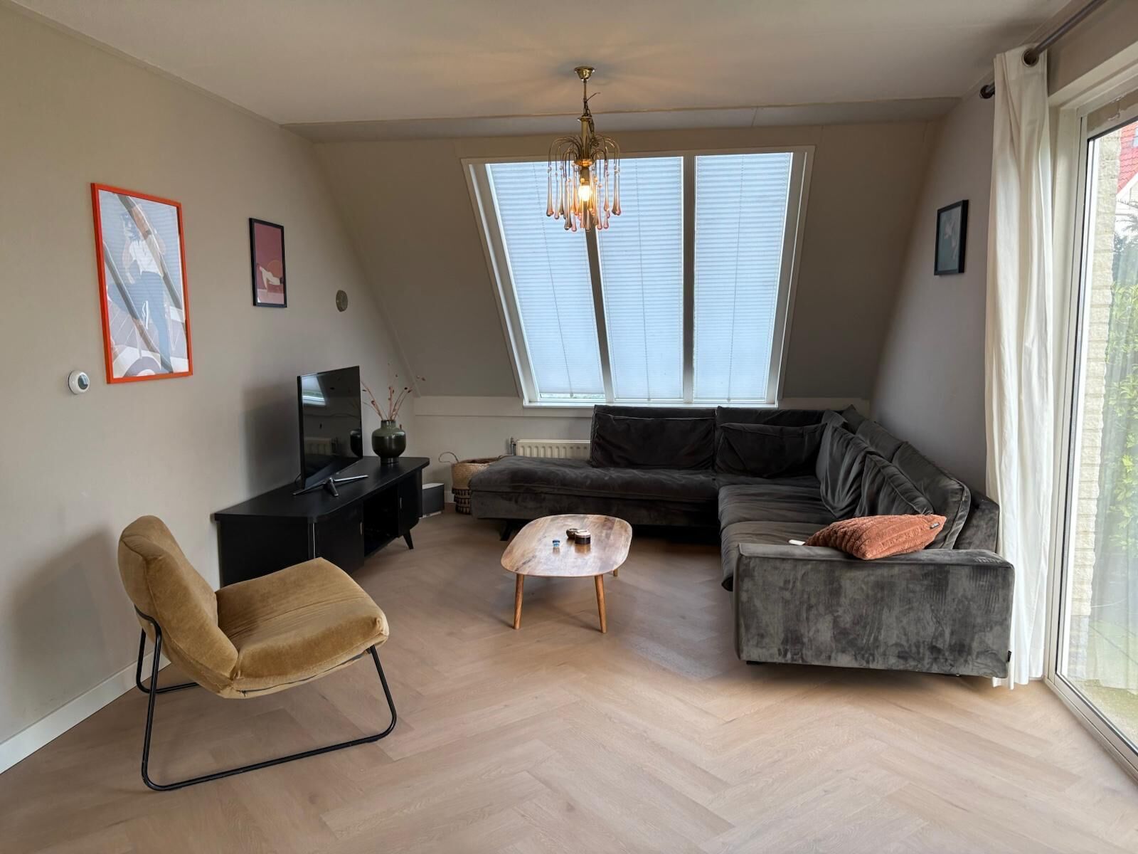 智能電視、DVD 播放機