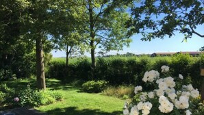 A garden with a wooden table, lush greenery, and white flowers. - Luxe Freistehendes Familie Ferien-haus mit Sauna (Scharendijke)
