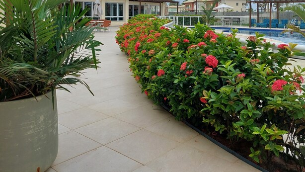 Un espace piscine aménagé dans un complexe hôtelier, avec un chemin bordé de carreaux, entouré d’une végétation luxuriante et de plantes en fleurs.