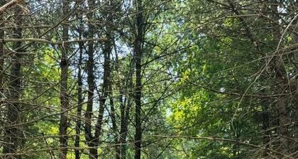 Timberline Cabins - Wildwood Cottage - Hot tub, Pets