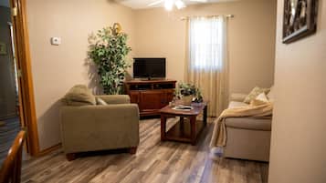 TV, fireplace, DVD player, books