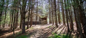 Timberline Cabins - Wildwood Cottage - Hot tub, Pets, Fireplace