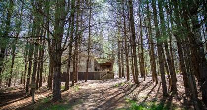 Timberline Cabins - Wildwood Cottage - Hot tub, Pets, Fireplace
