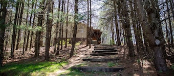 Timberline Cabins - The Pinewood Cottage - Hot tub, Fireplace, Pets