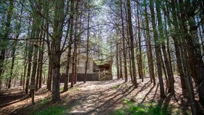 Una cabaña rodeada de altos árboles, con un sendero de tierra que la lleva a ella.