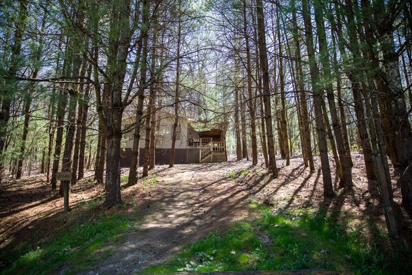 Exterior - Timberline Cabins - Dogwood Cottage - Hot Tub, Fireplace (Cambridge)