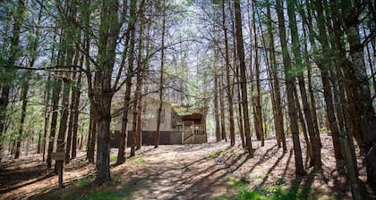 Timberline Cabins - Dogwood Cottage - Hot Tub, Fireplace