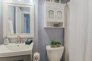 A bathroom with a sink, mirror, toilet, and a shower curtain. - The Serendipity Suite: Desk, EV, Walk Downtown (Staunton)