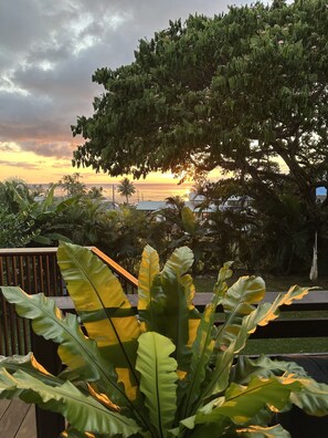 Property grounds - Walk to beach/Ocean views/with AC/Modern, Spacious/Short drive to Haleiwa town (Haleiwa)