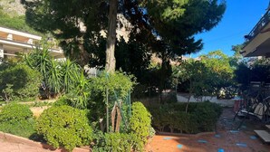 Une cour avec des plantes en pot, un chemin en briques et un grand arbre.