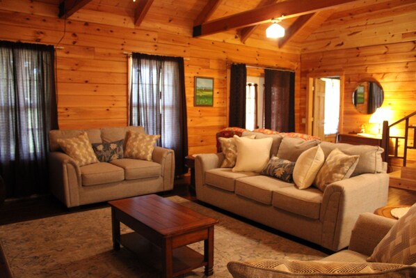 Smart TV, chimenea y reproductor de DVD 