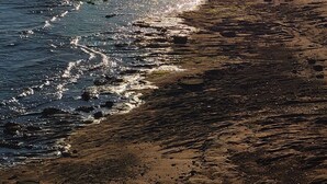 En strand där solljuset reflekteras i vattnet.