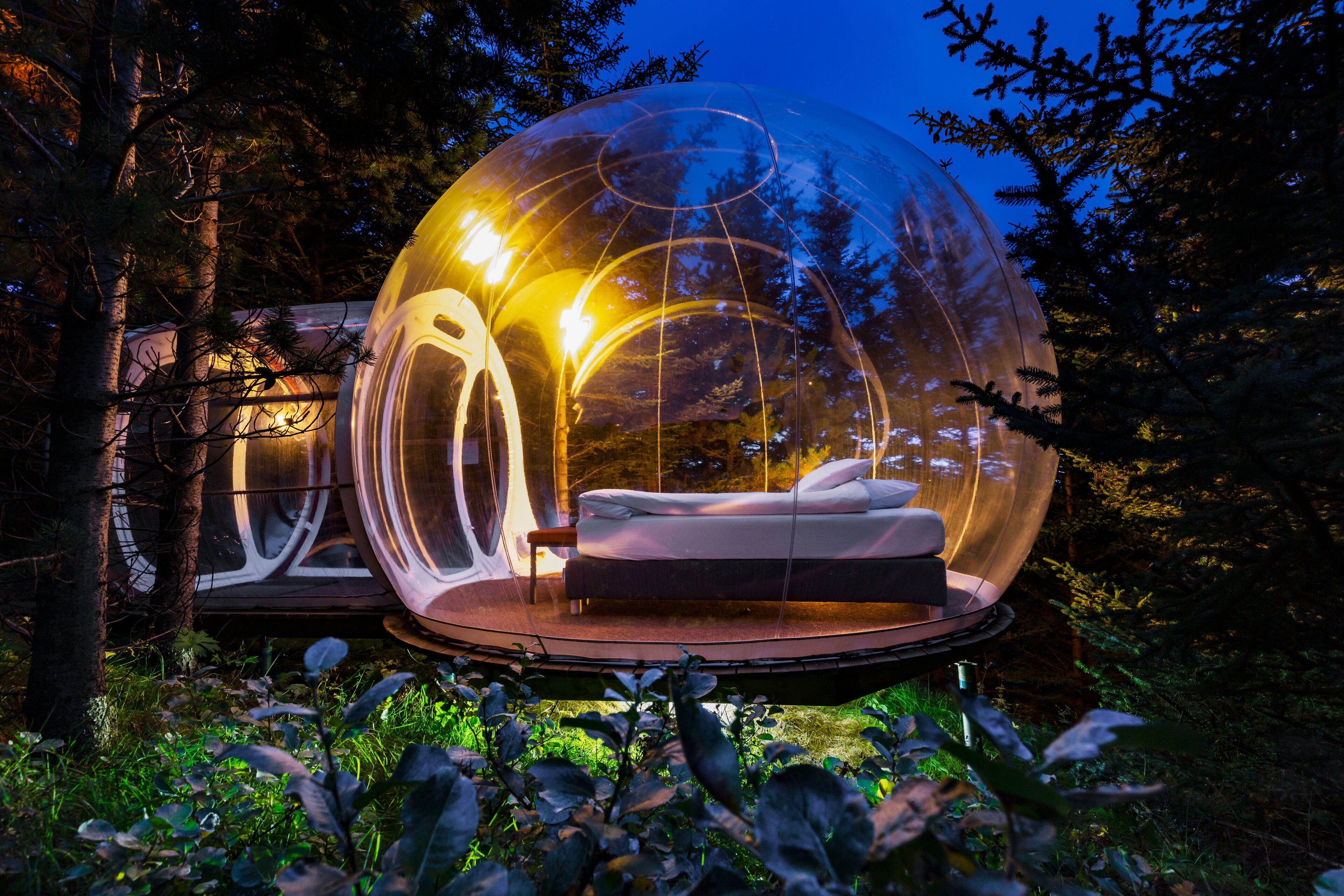 A transparent spherical structure with a bed inside, surrounded by trees.