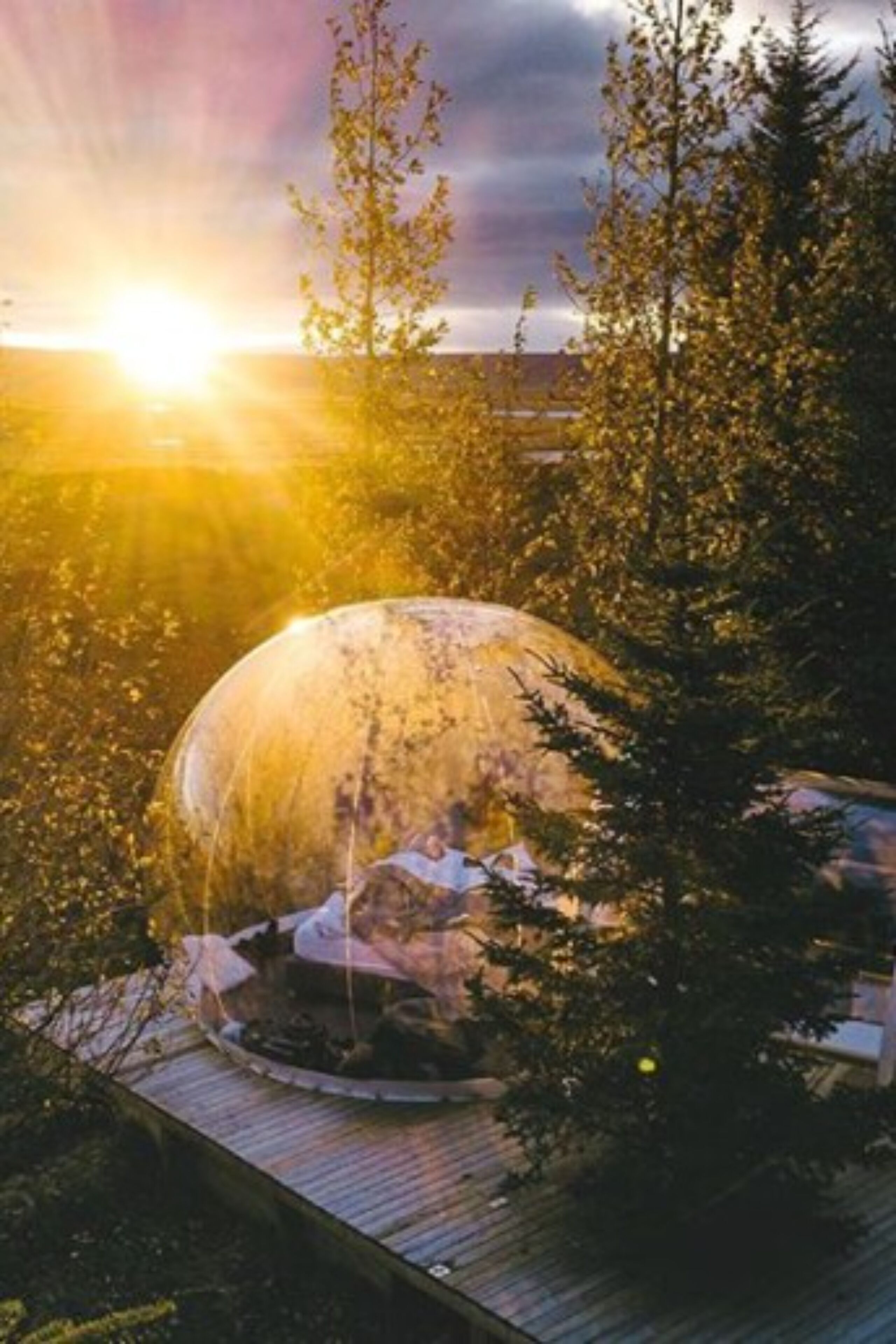 A dome-shaped structure surrounded by trees, with a wooden deck in the foreground.