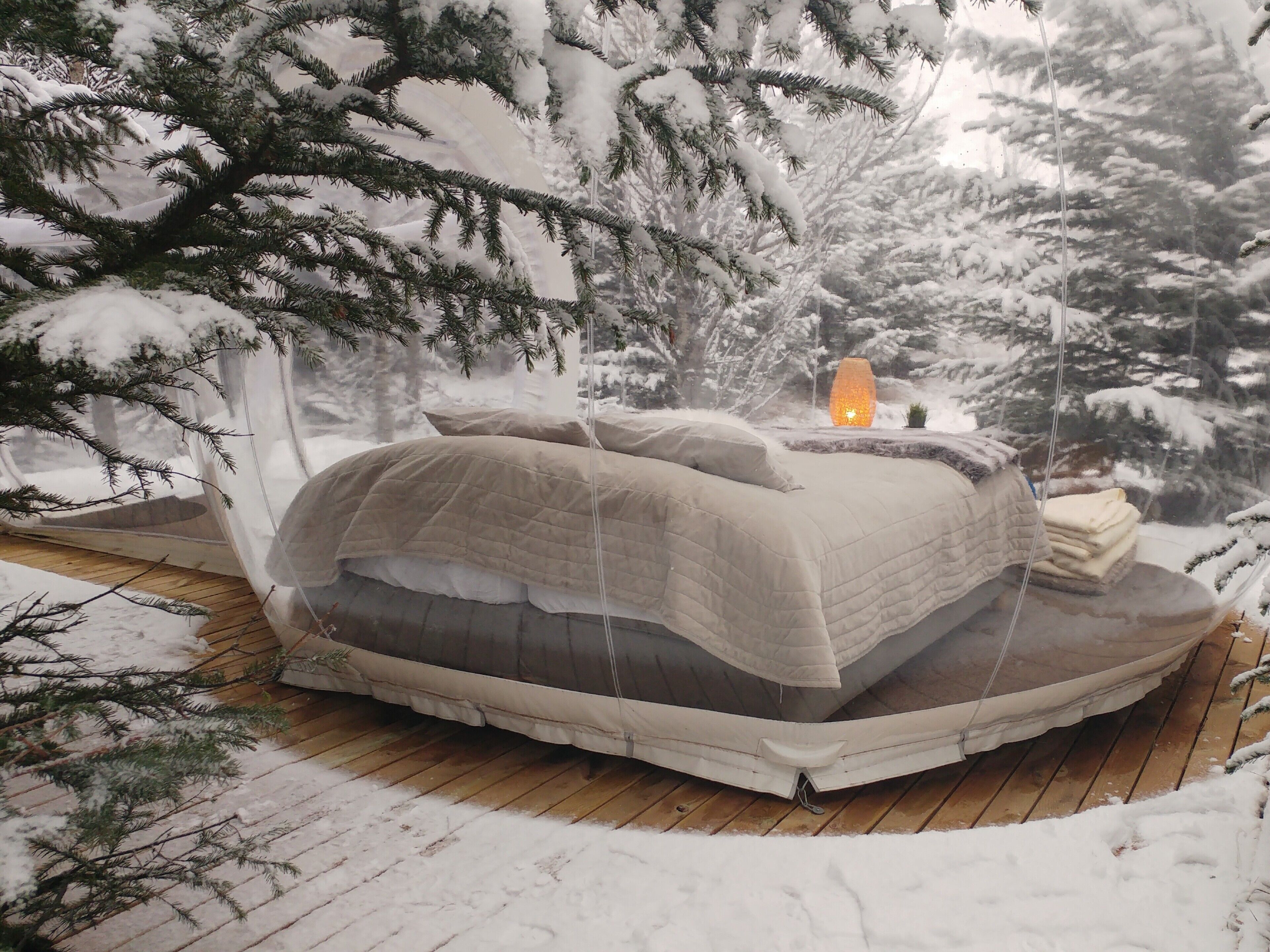 Standard Tent | 1 bedroom, bed sheets
