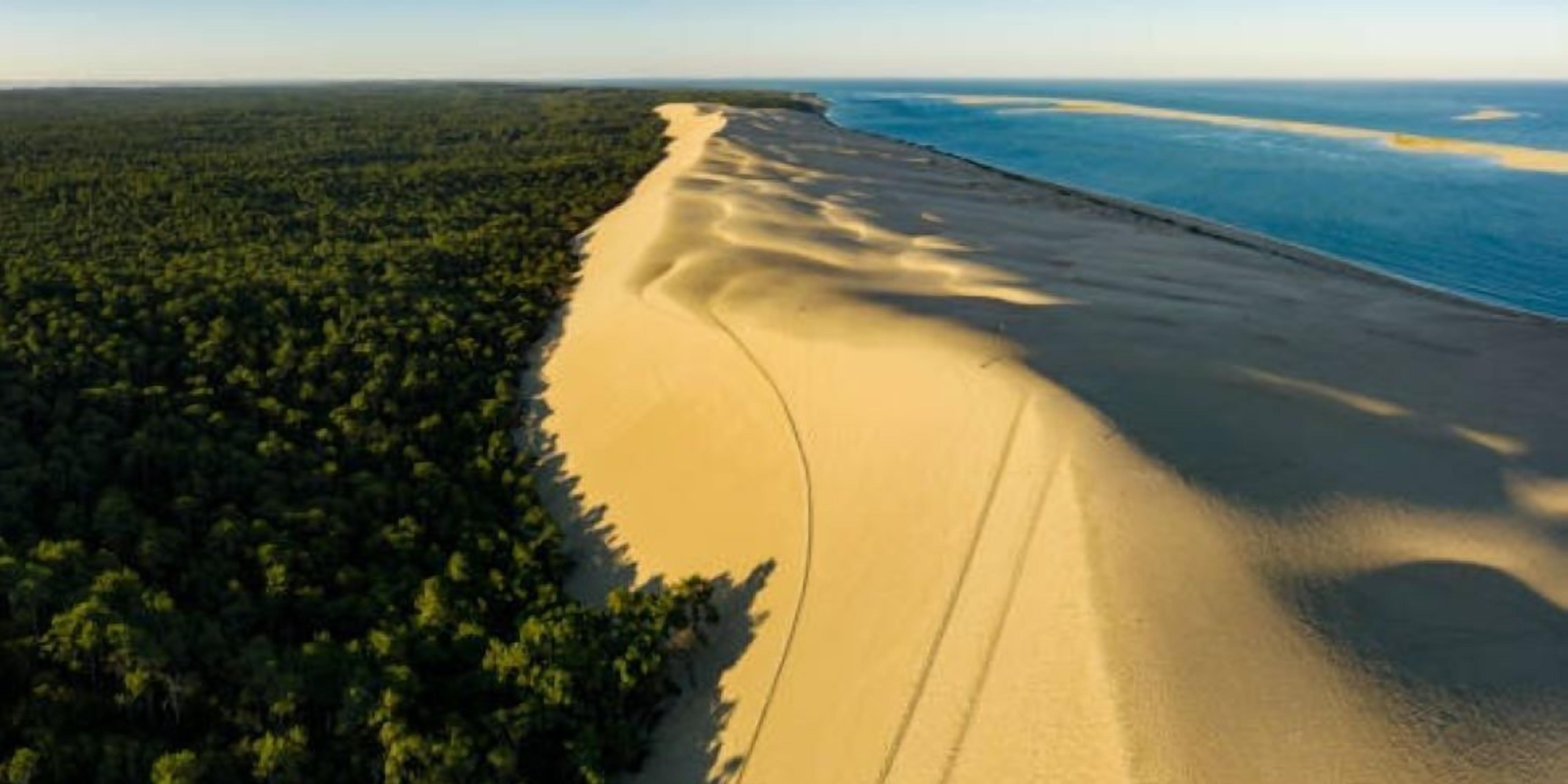 Vue aérienne d’une zone côtière avec une plage de sable et une forêt dense.