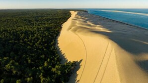 Ein Luftbild einer Küstenregion mit Sandstrand und dichtem Wald.