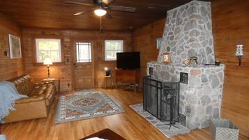 智能电视、壁炉、书