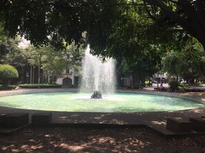 Una font rodona amb jocs d'aigua al centre, envoltada d'una zona pavimentada i arbres.