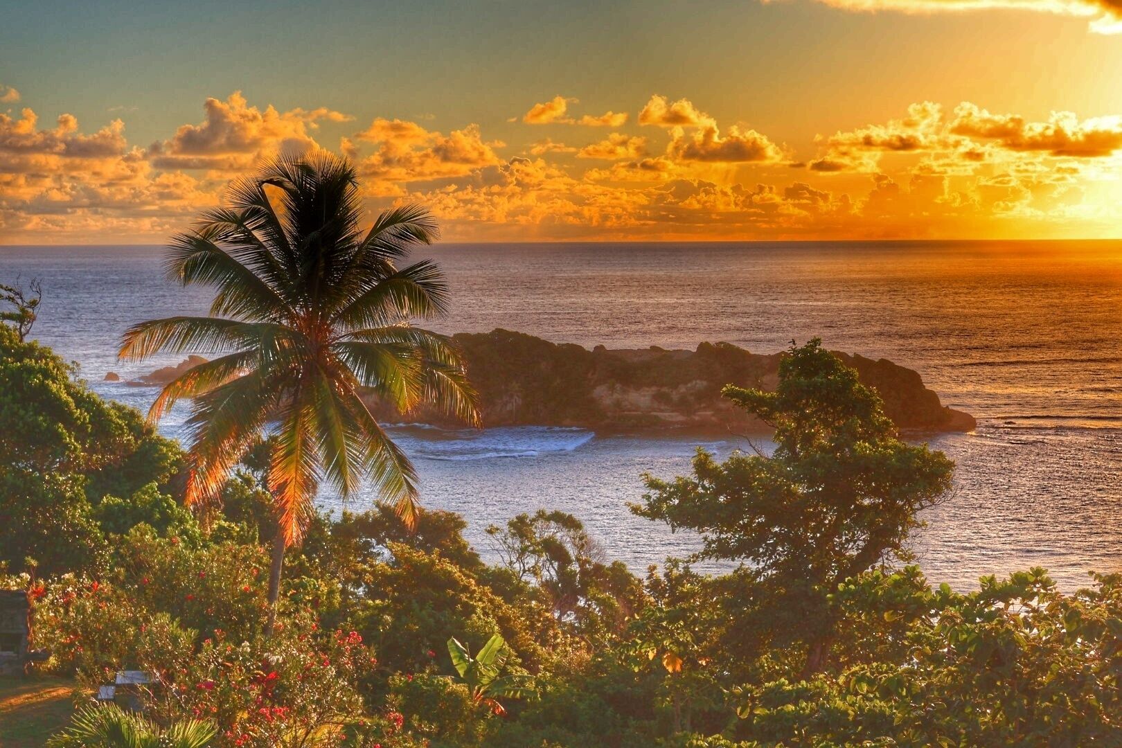 A tropical beach scene with a palm tree, ocean waves, and a sunset.