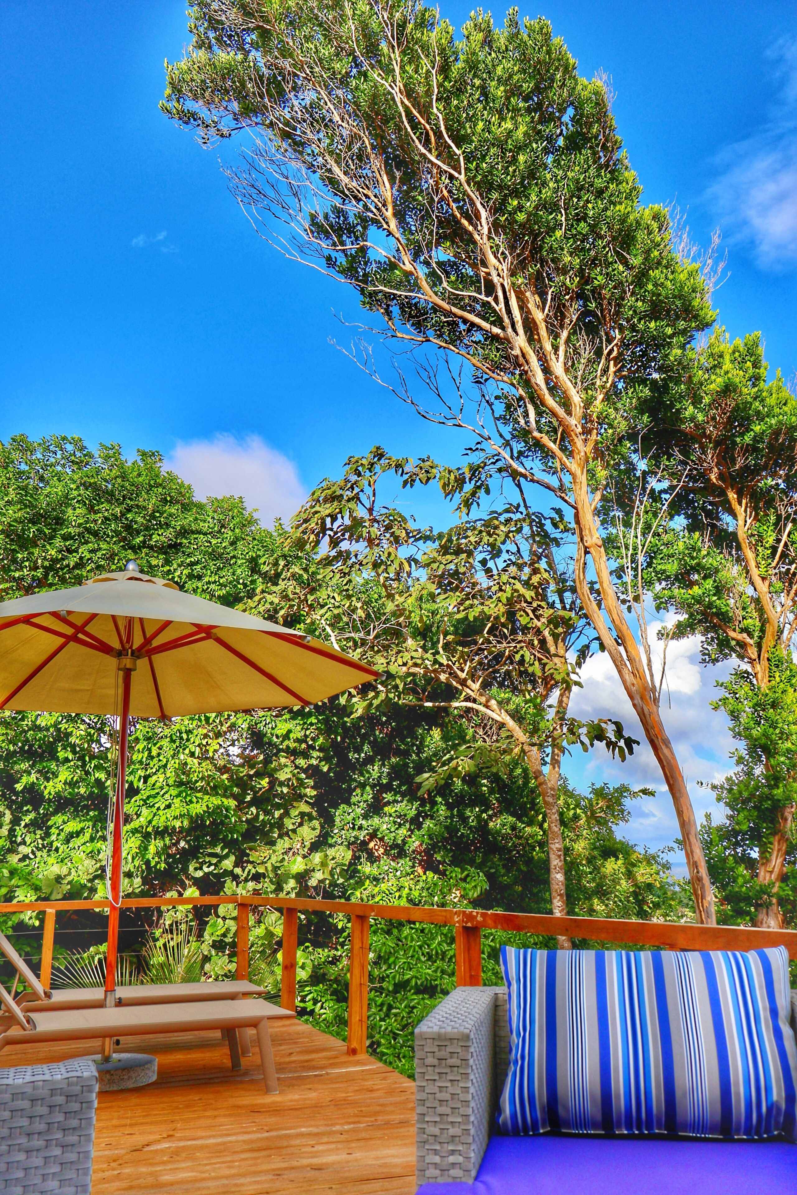 A wooden deck with a bench, a striped cushion, and a hanging umbrella.