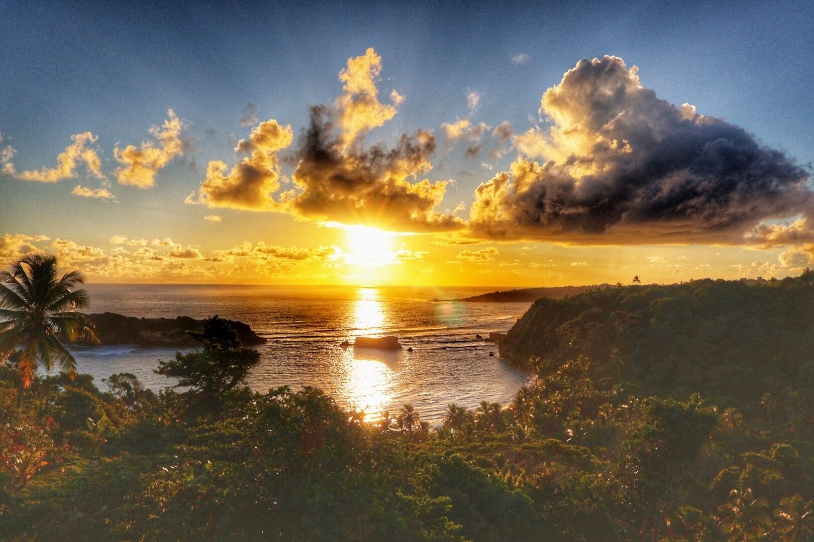 A sunset over a coastal landscape with a view of the ocean and a palm tree.