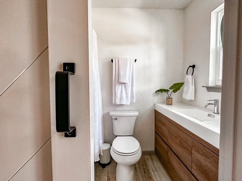 Une salle de bain moderne avec des toilettes, un lavabo et une petite plante posée sur le meuble-vasque.