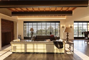 Smart TV, fireplace, books, music library