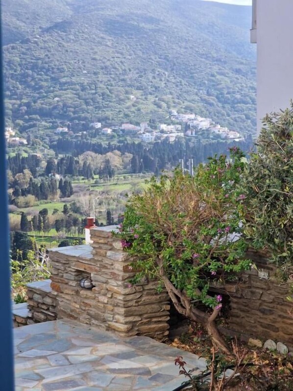 Property grounds - Romantic Lemonia in Chora of Andros 5 min from the center of the town!! (Andros Chora)