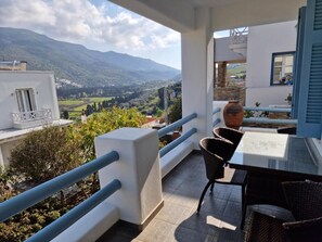 Property grounds - Romantic Lemonia in Chora of Andros 5 min from the center of the town!! (Andros Chora)