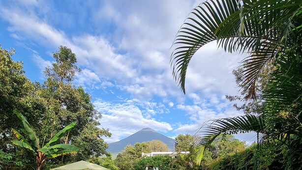 Un jardin paisible avec un étang, une végétation luxuriante et une montagne en arrière-plan.