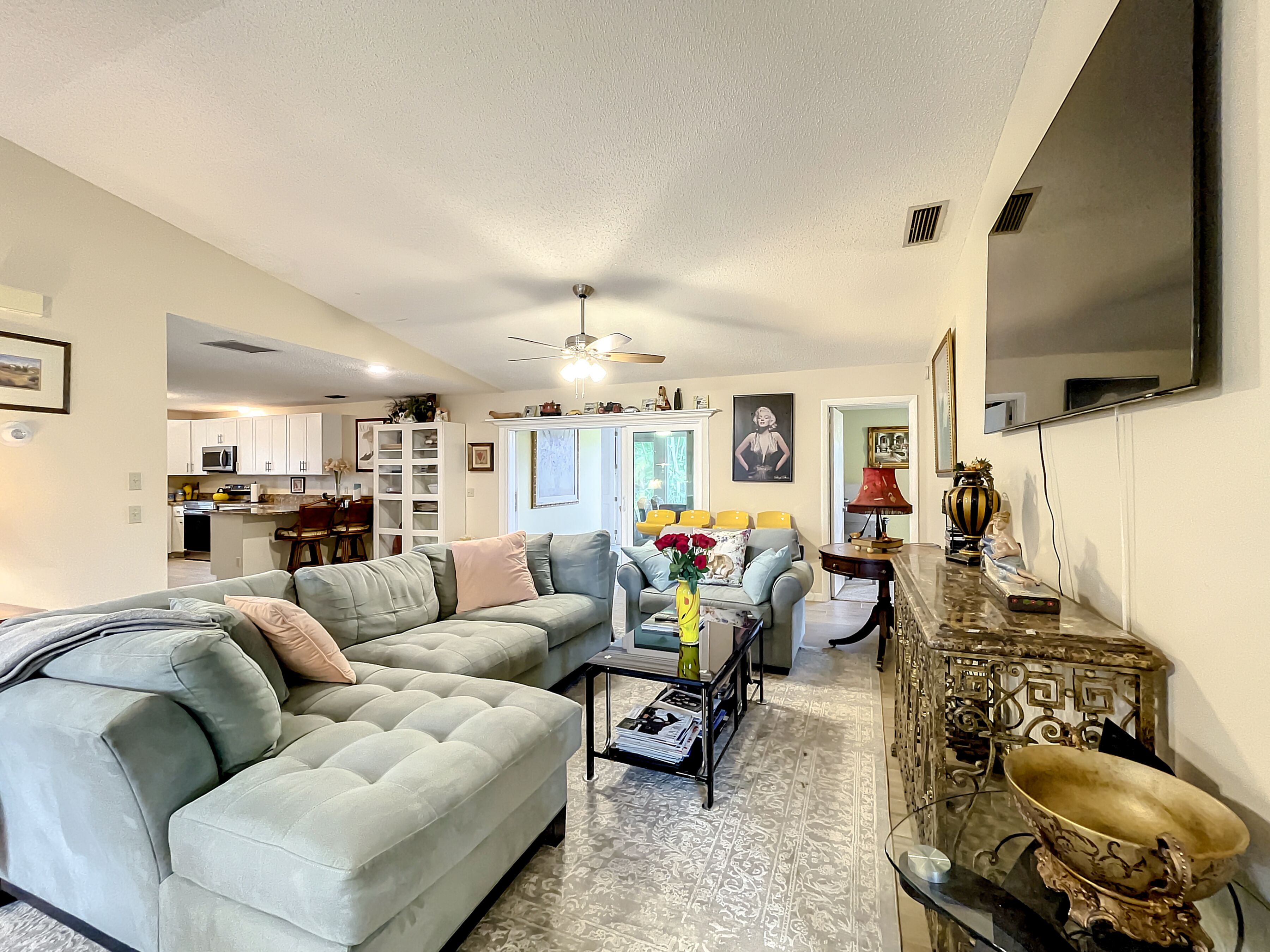 Smart TV, chimenea, reproductor de DVD y libros 