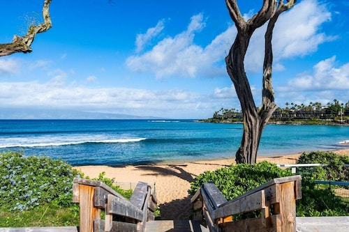 NSF 207 BeachFront Condo Napili Bay
