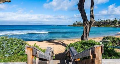 NSF 207 BeachFront Condo Napili Bay