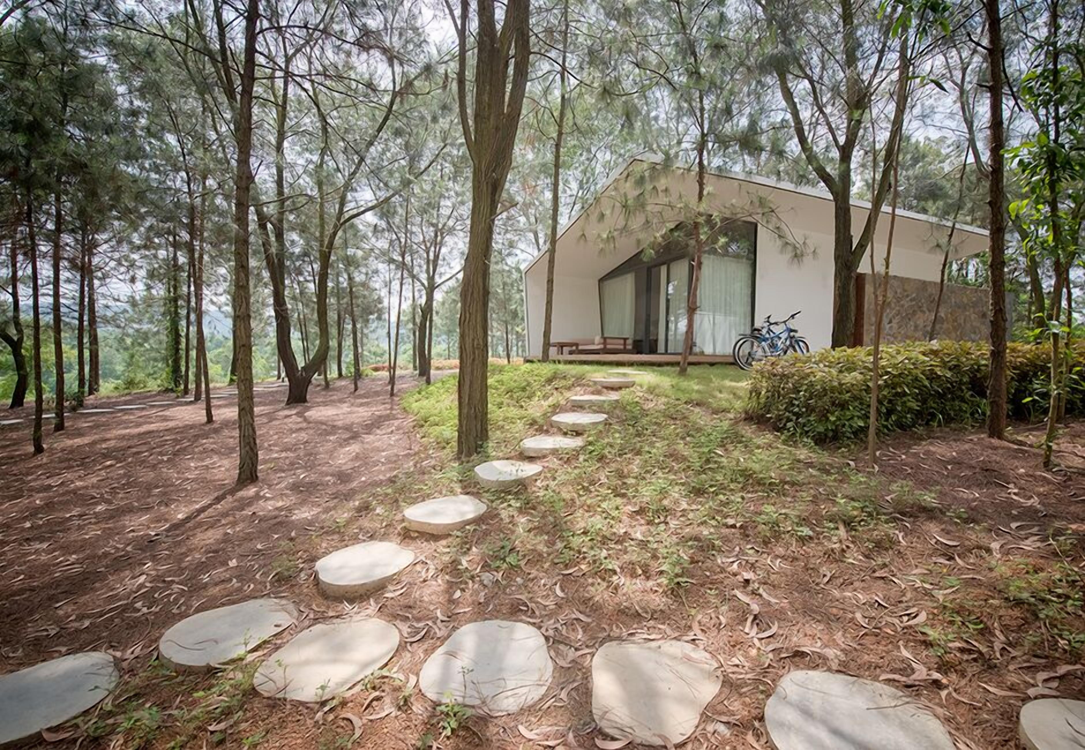 A modern house surrounded by a forest with a stone pathway leading to it.