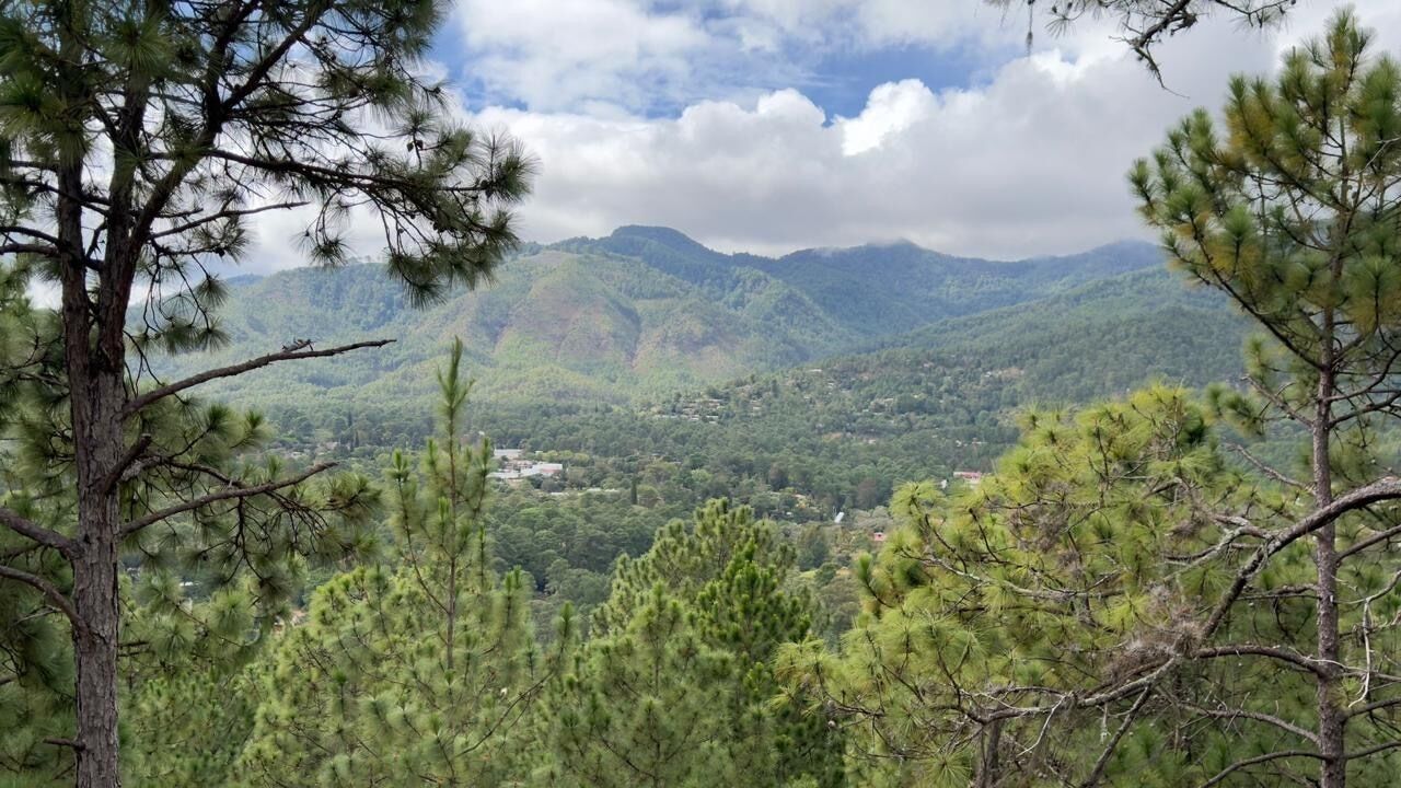 32-inch flat-screen TV with digital channels, fireplace, Netflix