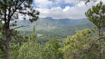 32-inch flat-screen TV with digital channels, fireplace, Netflix