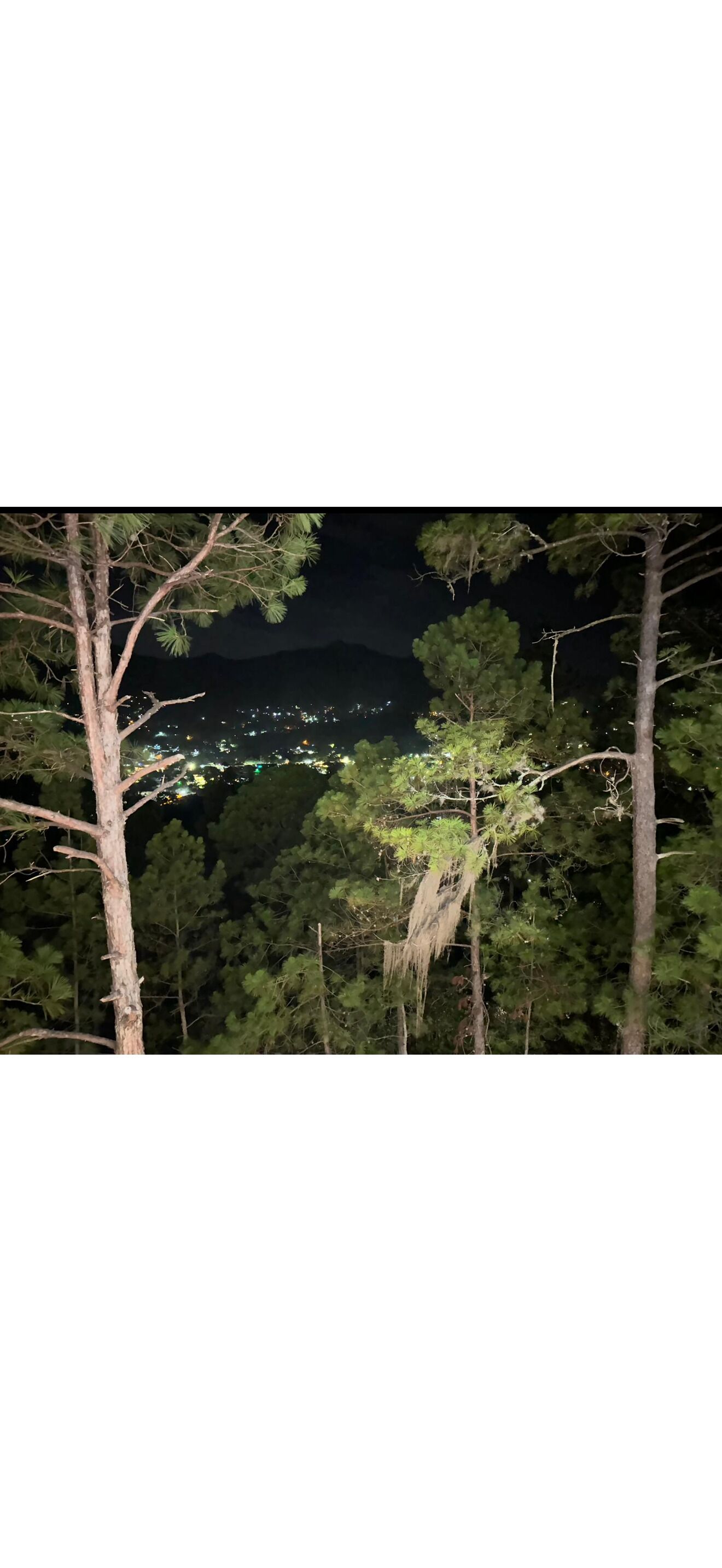 Nachtsicht über bewaldetes Gebiet mit Stadtlandschaft in der Ferne.