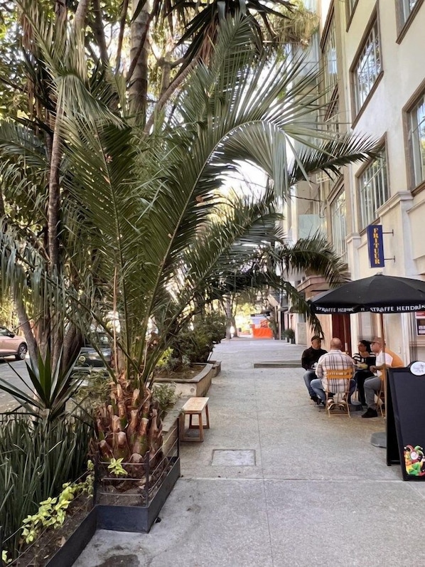 Une rue bordée de palmiers et un café avec une terrasse.
