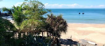 Cashewnut Tree Resort