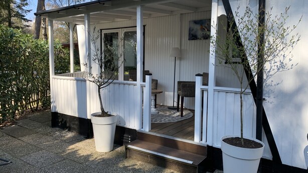 A covered porch with a bench, a small table, and a potted tree.