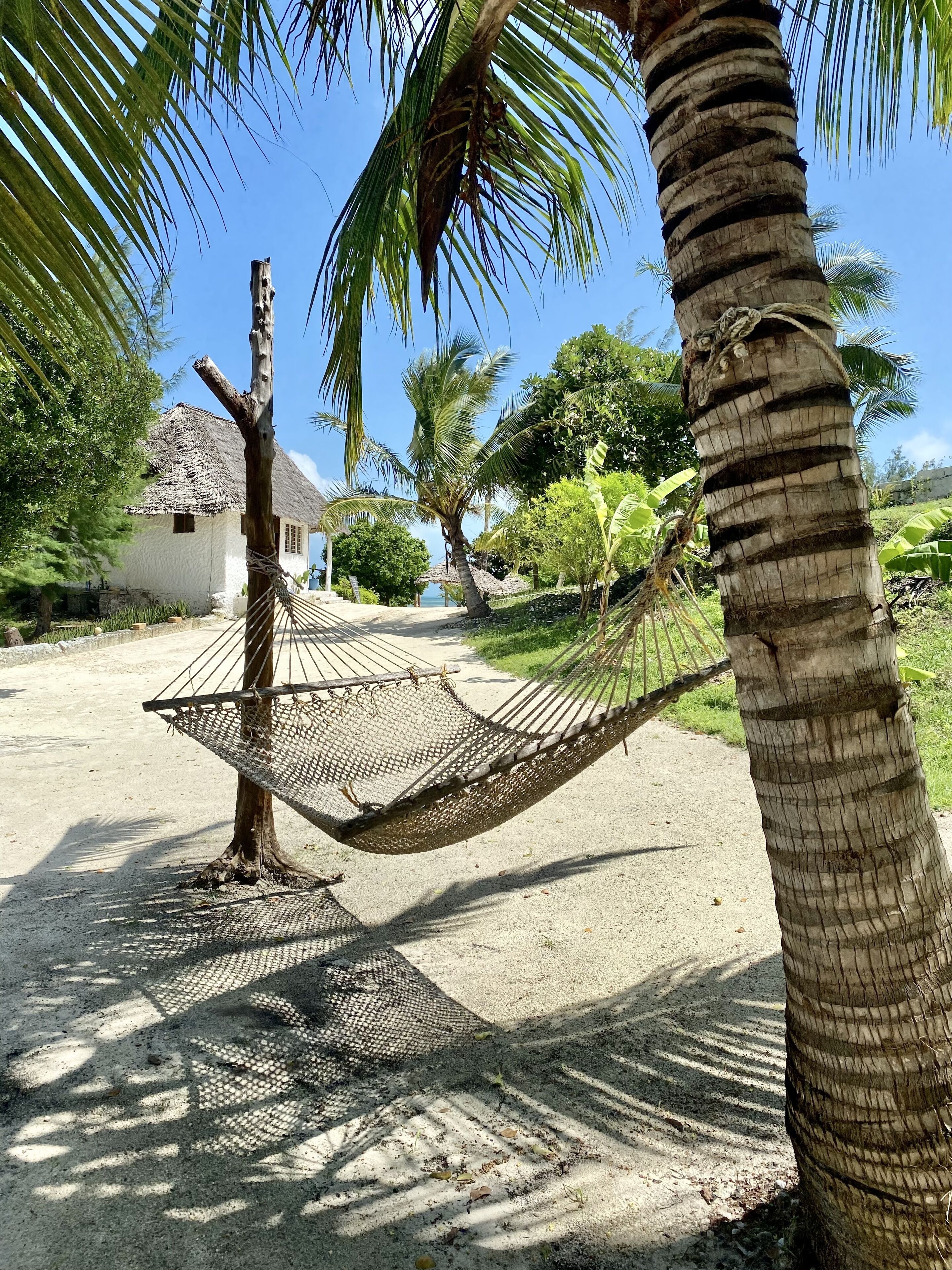 A hammock tied between two palm trees, a white building with a thatched roof, and a clear blue sky.