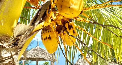 White Star Ocean View Hotel