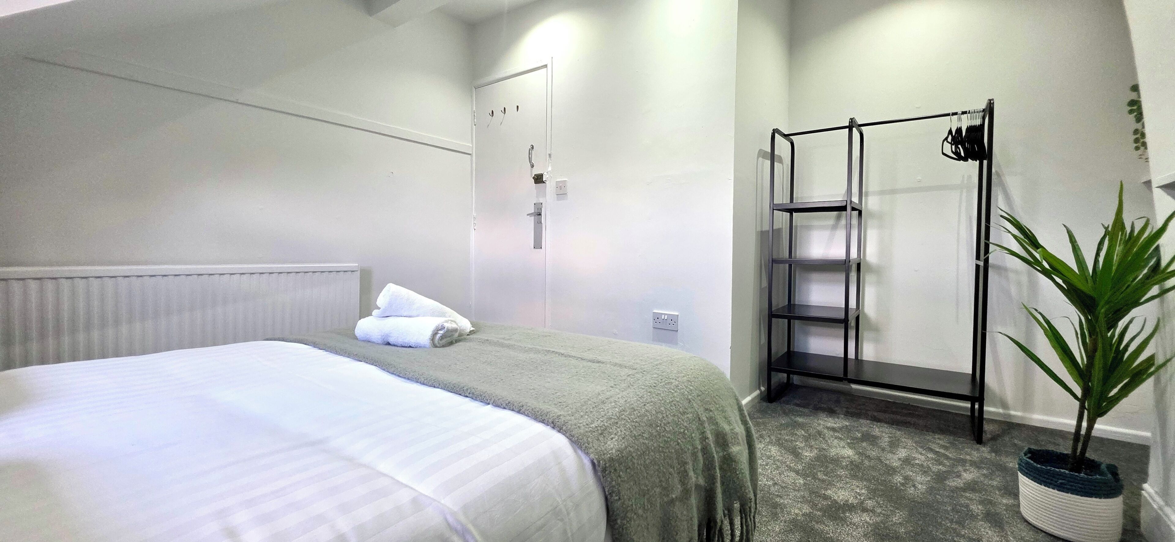 Een hotelkamer met een bed, een douche en een kamerplant.
