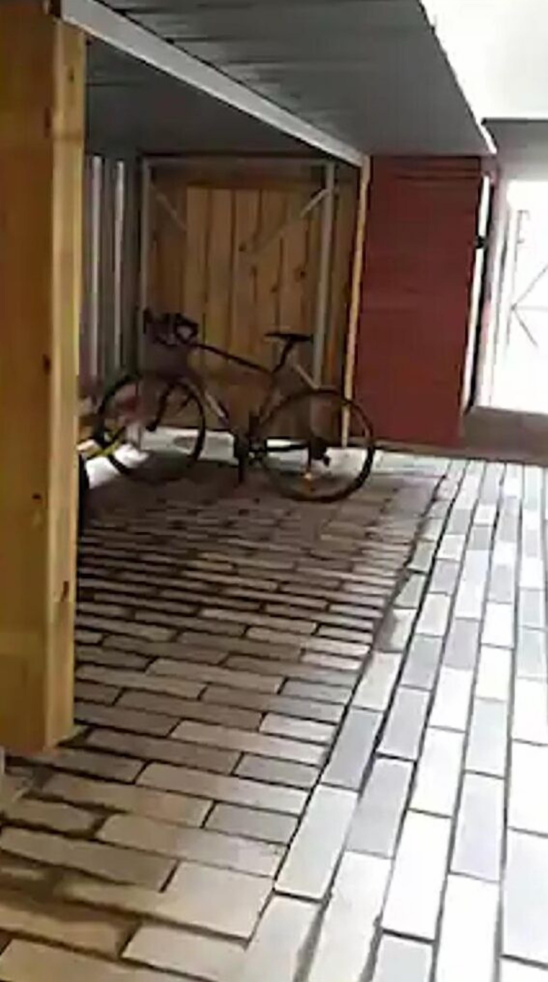Una bicicleta estacionada dentro de un garaje con piso de baldosas.